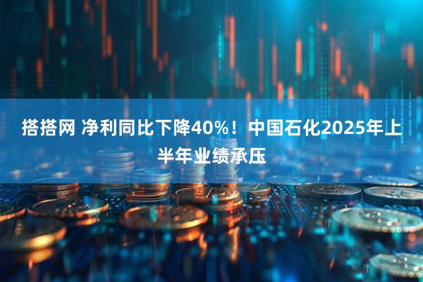搭搭网 净利同比下降40%！中国石化2025年上半年业绩承压
