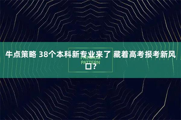 牛点策略 38个本科新专业来了 藏着高考报考新风口？