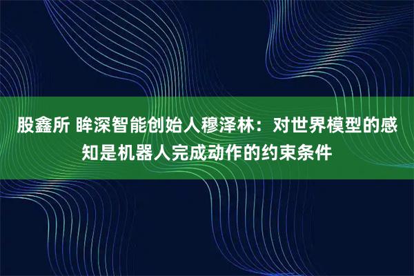 股鑫所 眸深智能创始人穆泽林：对世界模型的感知是机器人完成动作的约束条件