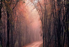 网上手机怎么股票开户:网上配资炒股网站-上市不足一月 特斯拉Model 3新车型降价1万元